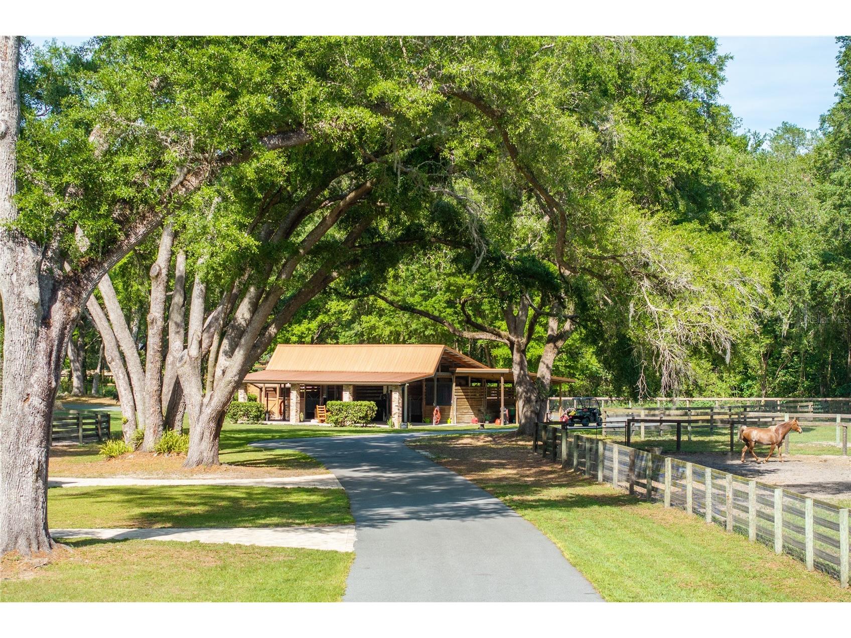 10925 SW 16th Avenue Ocala FL 34476 OM699105 image63