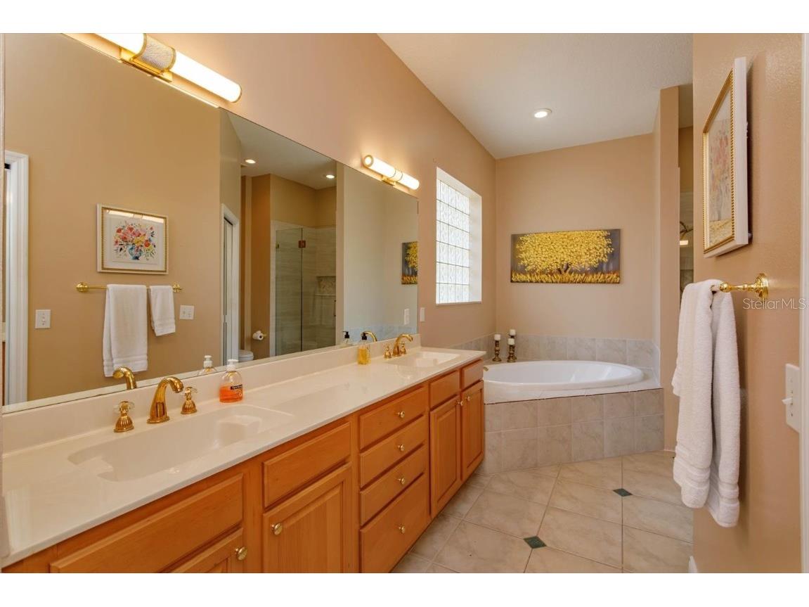 10926 Woodchase Circle Orlando FL 32836 O6340833 image18