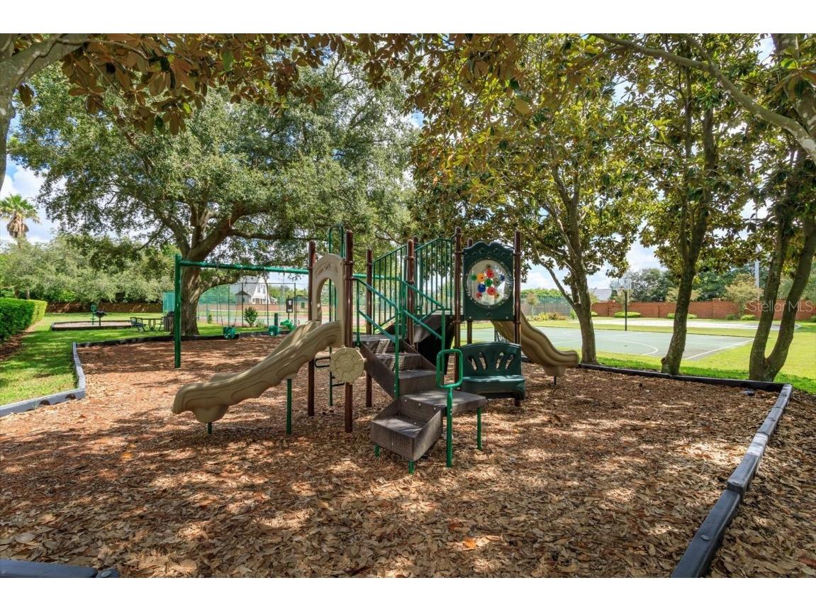 10926 Woodchase Circle Orlando FL 32836 O6340833 image35