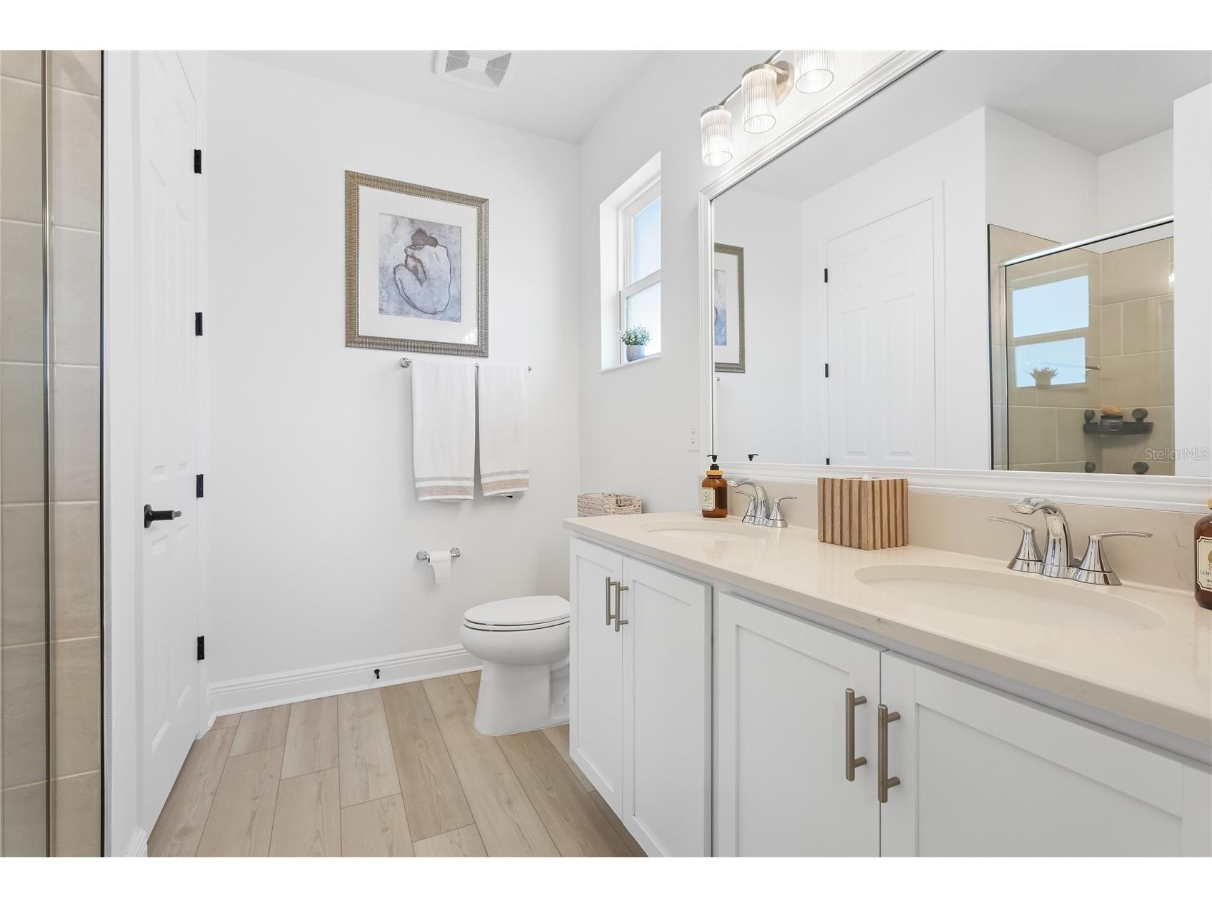 10927 Bluestem Cove Parrish FL 34219 A4693591 image17