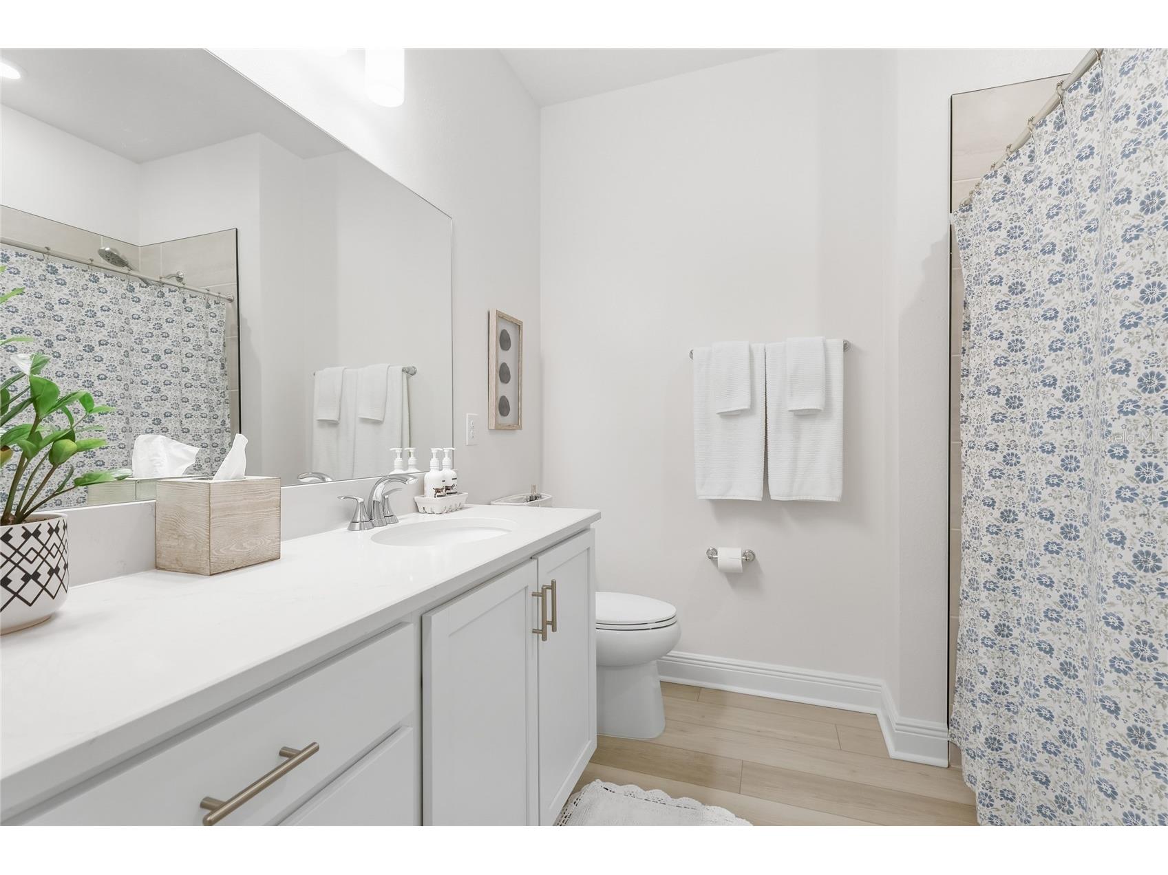 10927 Bluestem Cove Parrish FL 34219 A4693591 image21