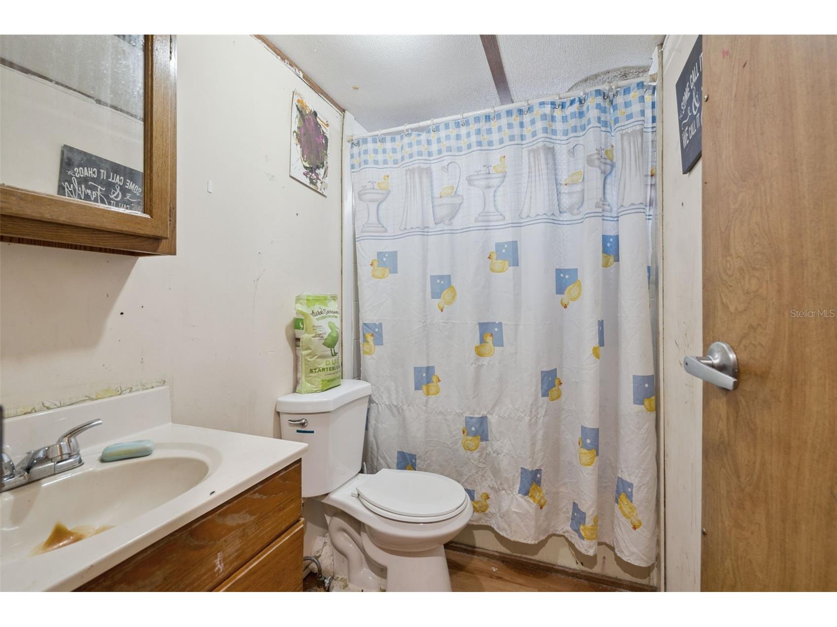 10927 Luana Drive Leesburg FL 34788 O6416761 image12