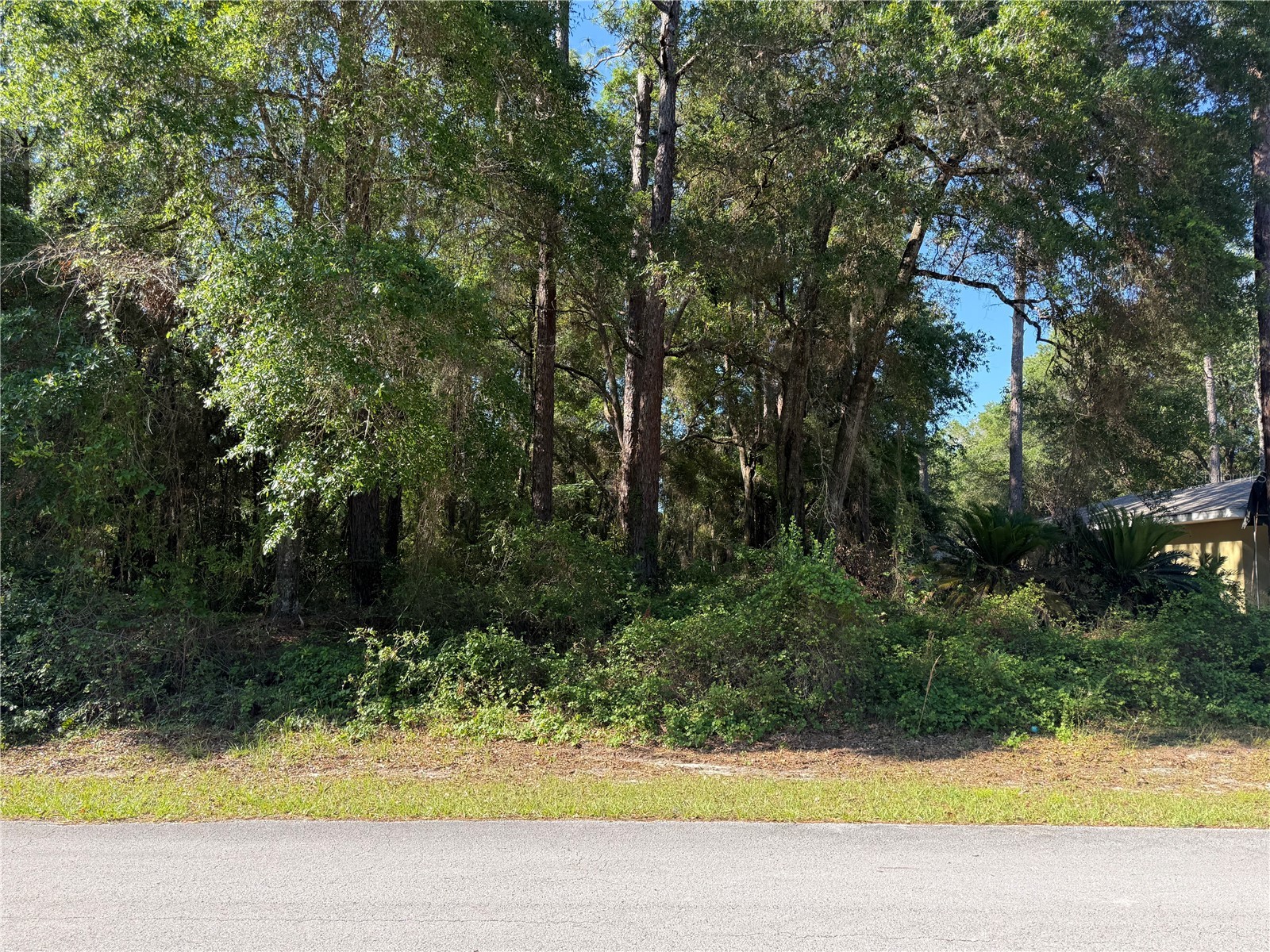 10927 N Airway Loop Citrus Springs FL 34434 TB8509295 image1