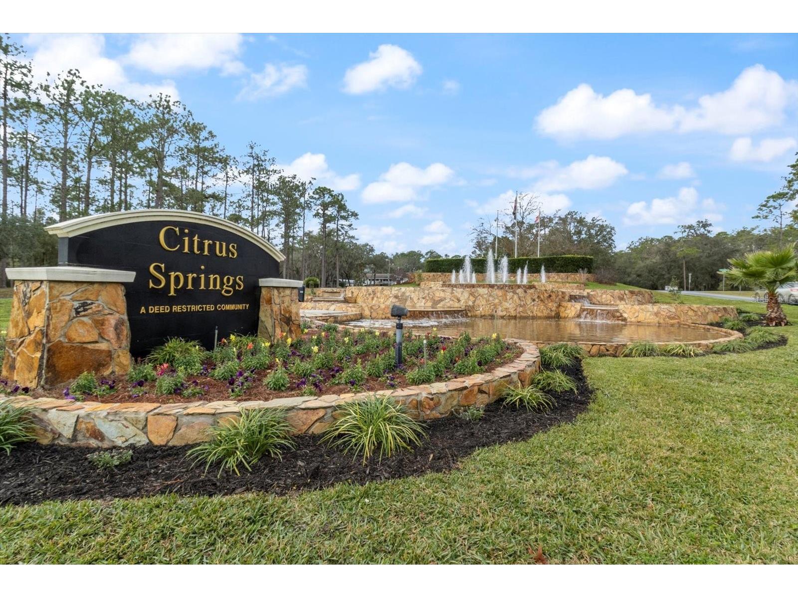 10927 N Airway Loop Citrus Springs FL 34434 TB8509295 image10