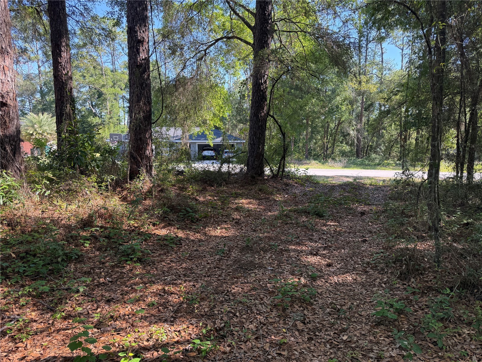 10927 N Airway Loop Citrus Springs FL 34434 TB8509295 image4