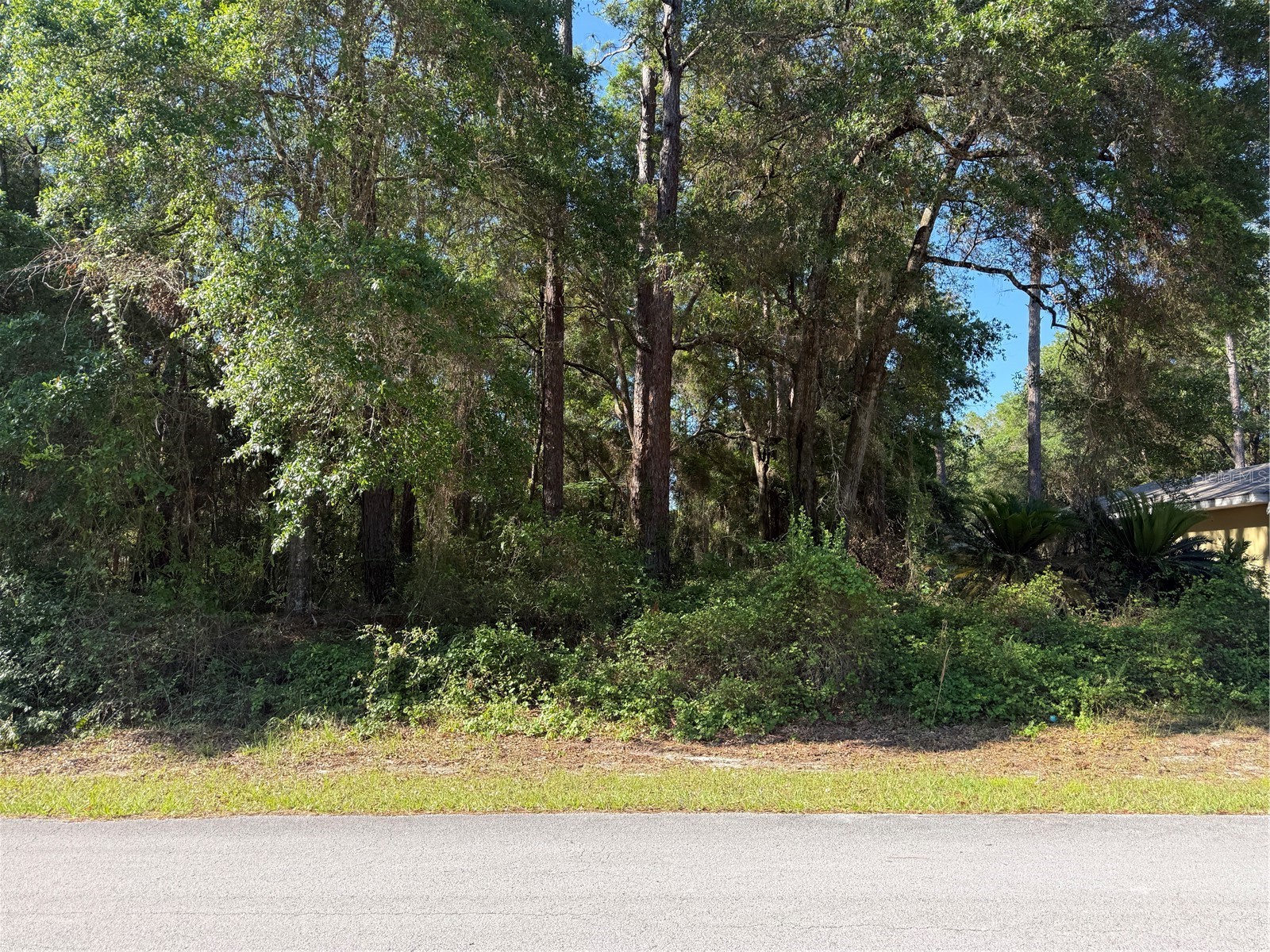10927 N Airway Loop Citrus Springs FL 34434 TB8509295 image6