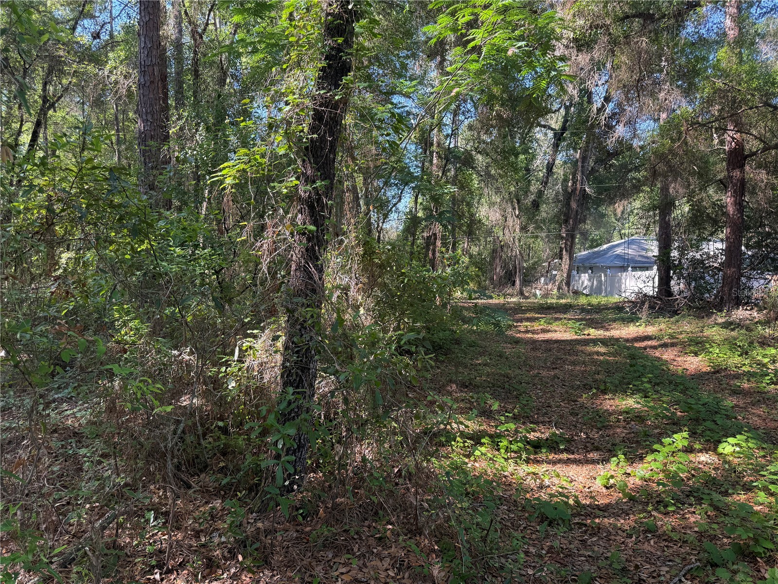 10927 N Airway Loop Citrus Springs FL 34434 TB8509295 image7