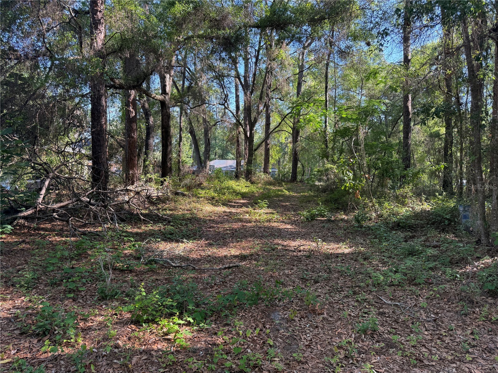 10927 N Airway Loop Citrus Springs FL 34434 TB8509295 image8