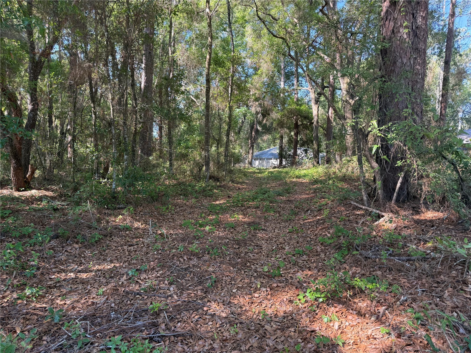 10927 N Airway Loop Citrus Springs FL 34434 TB8509295 image9