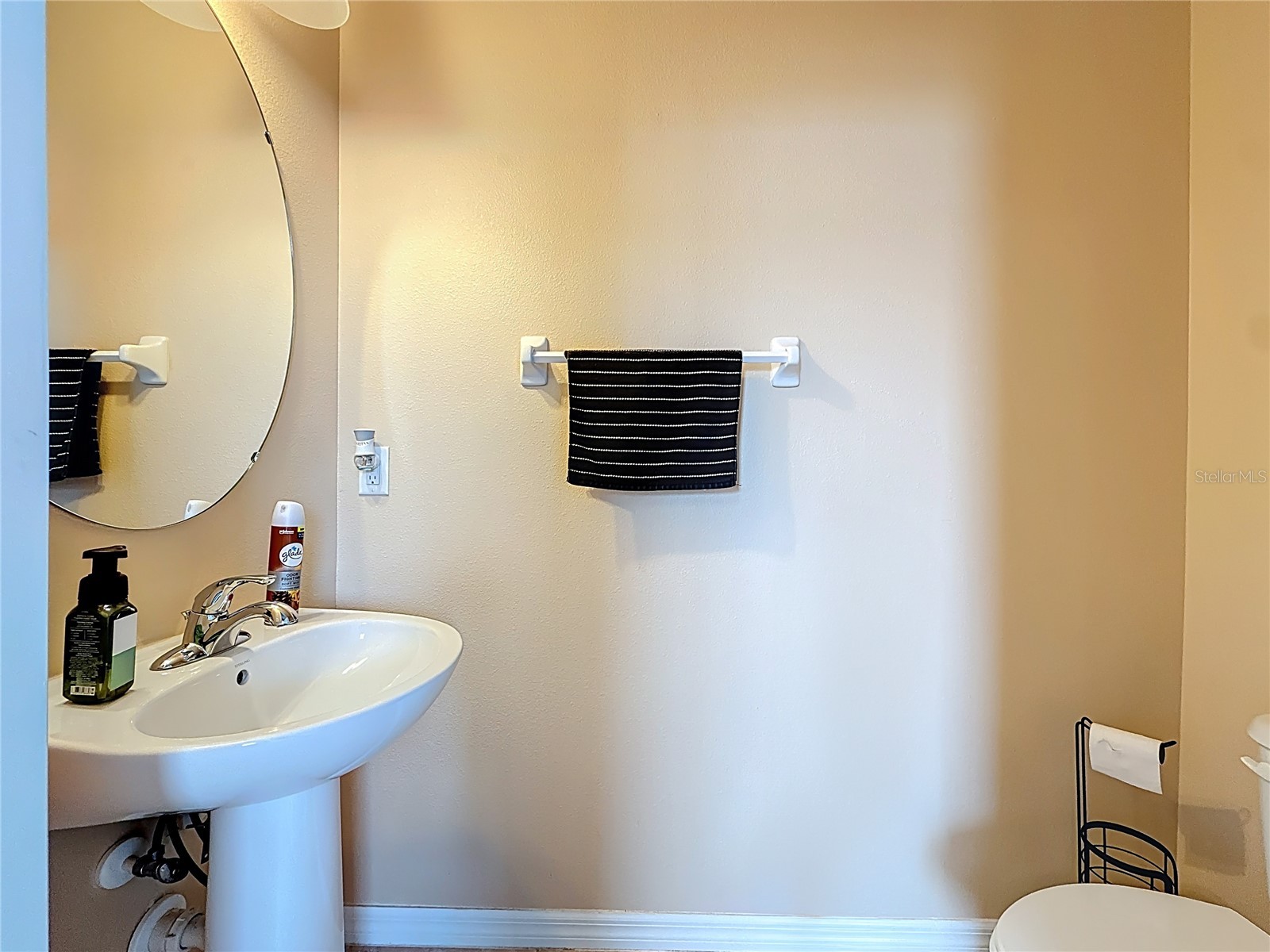 10927 Verawood Drive Riverview FL 33579 O6386908 image29