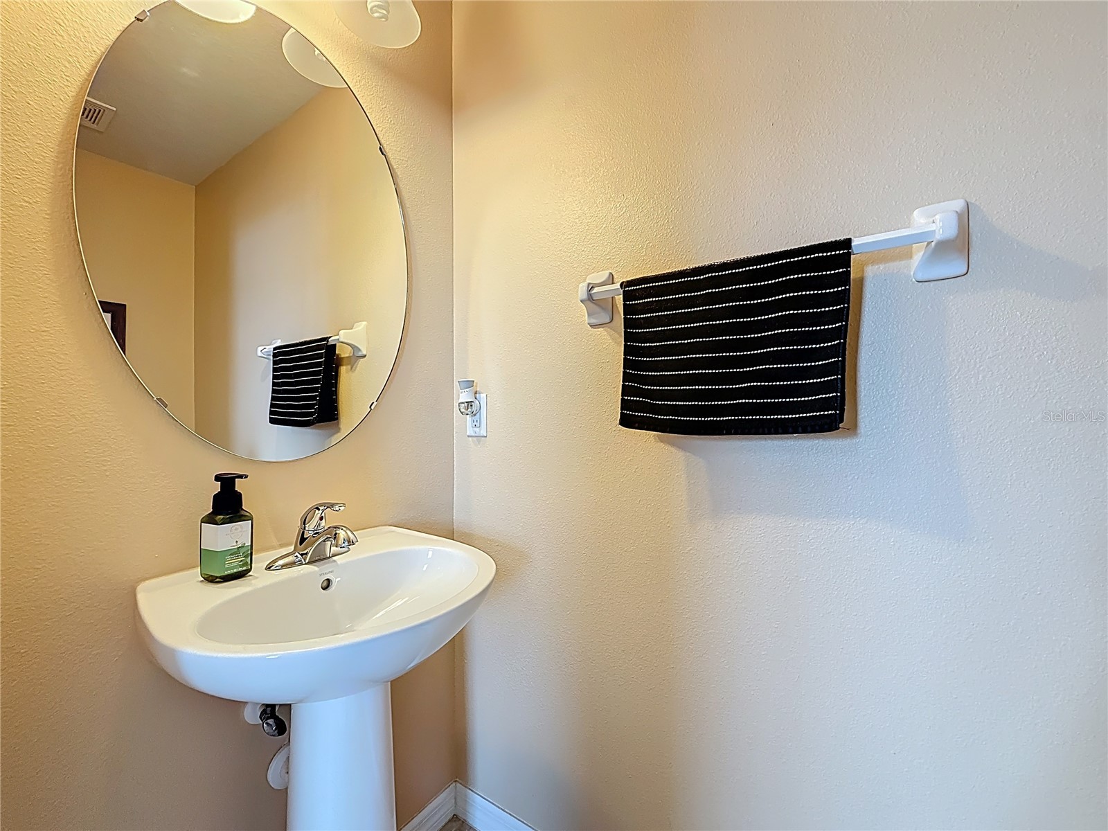 10927 Verawood Drive Riverview FL 33579 O6386908 image30