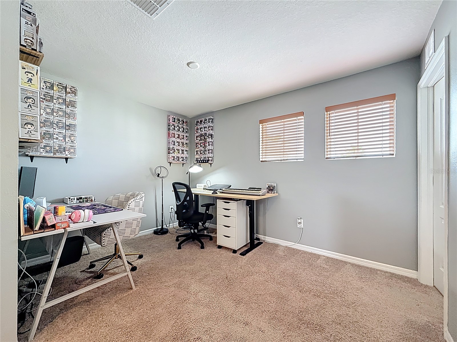 10927 Verawood Drive Riverview FL 33579 O6386908 image33