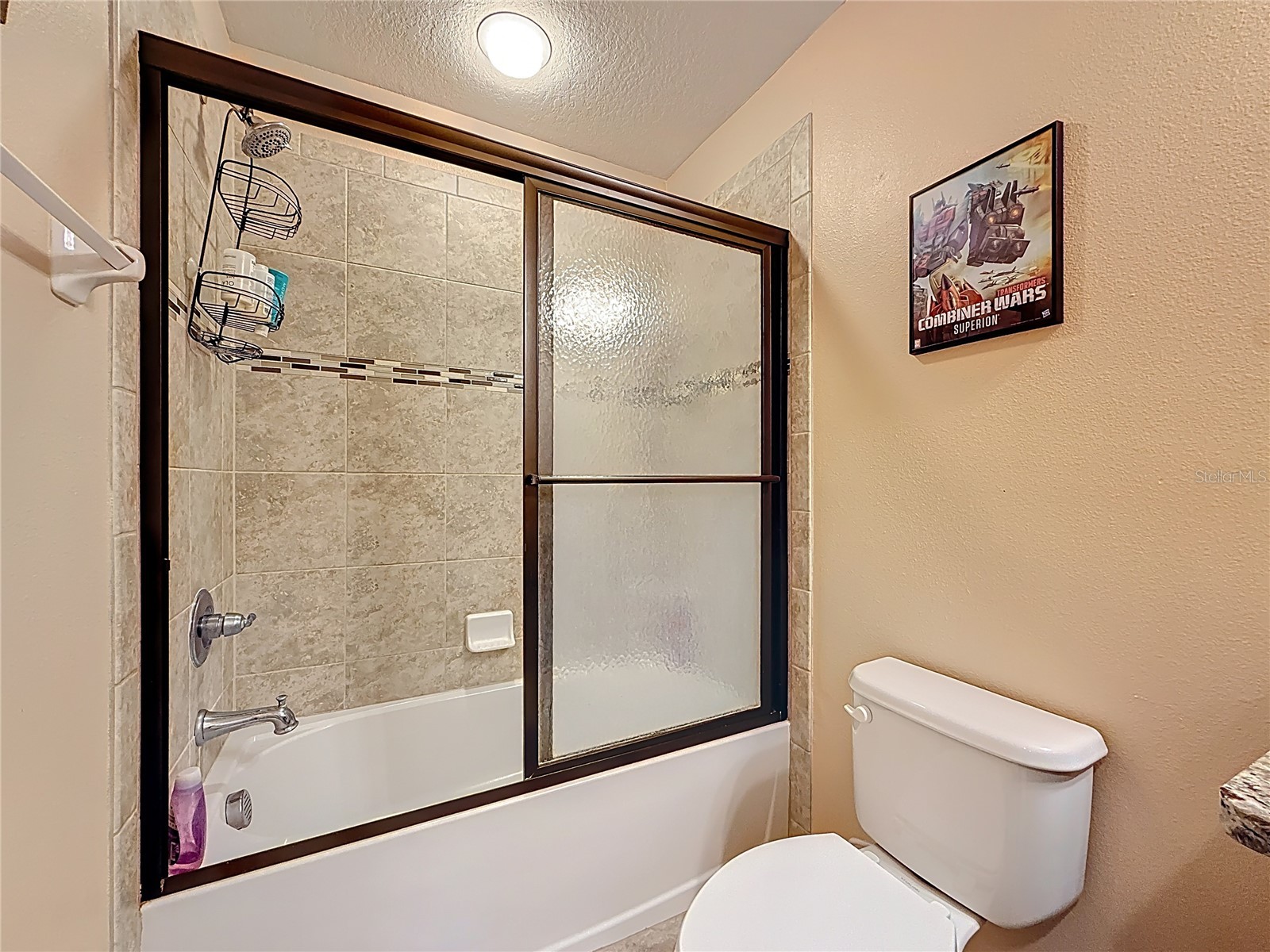 10927 Verawood Drive Riverview FL 33579 O6386908 image43