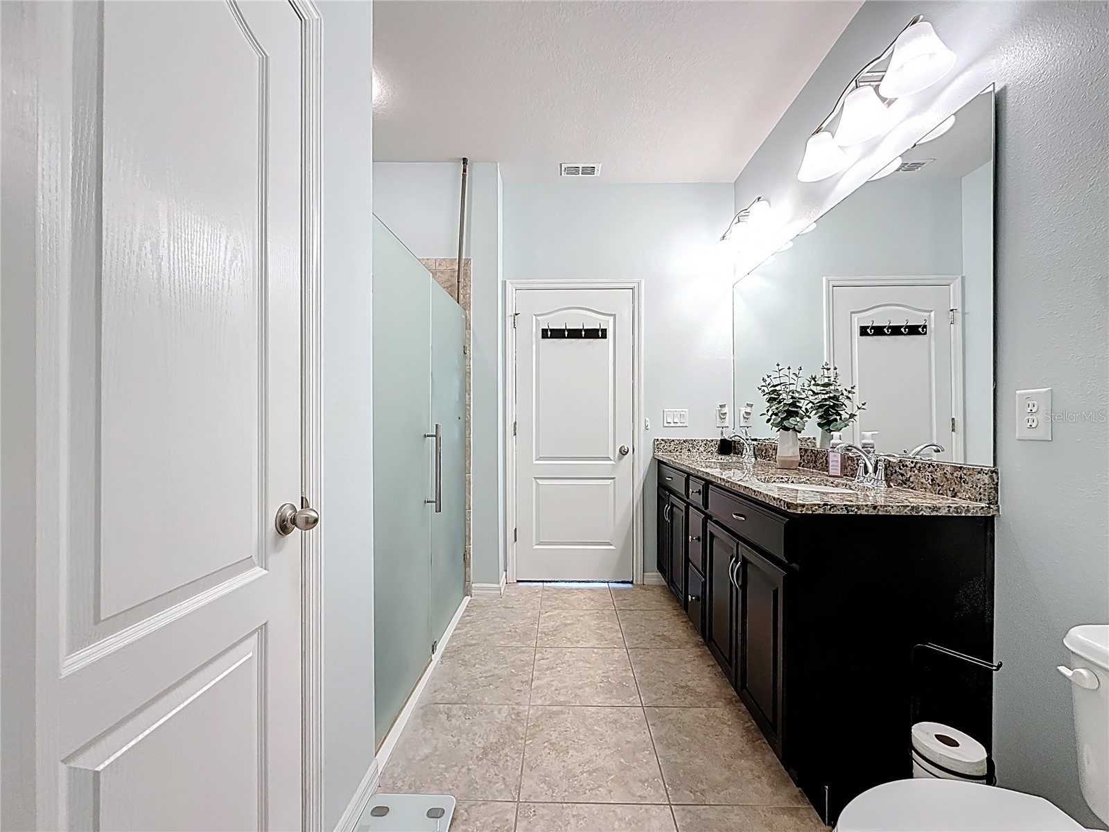 10927 Verawood Drive Riverview FL 33579 O6386908 image50