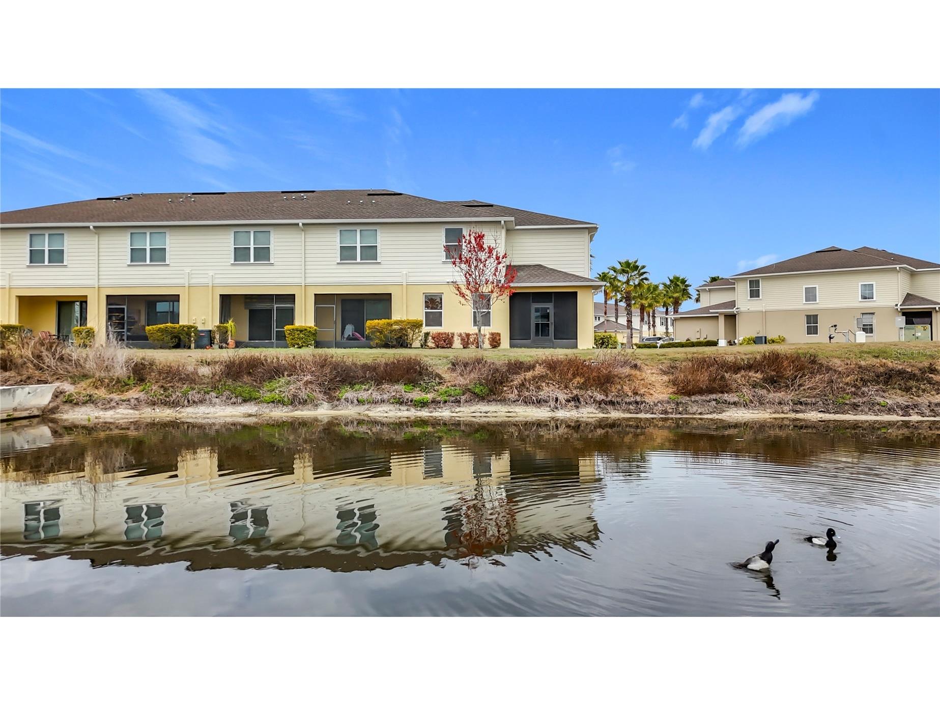 10927 Verawood Drive Riverview FL 33579 O6386908 image65