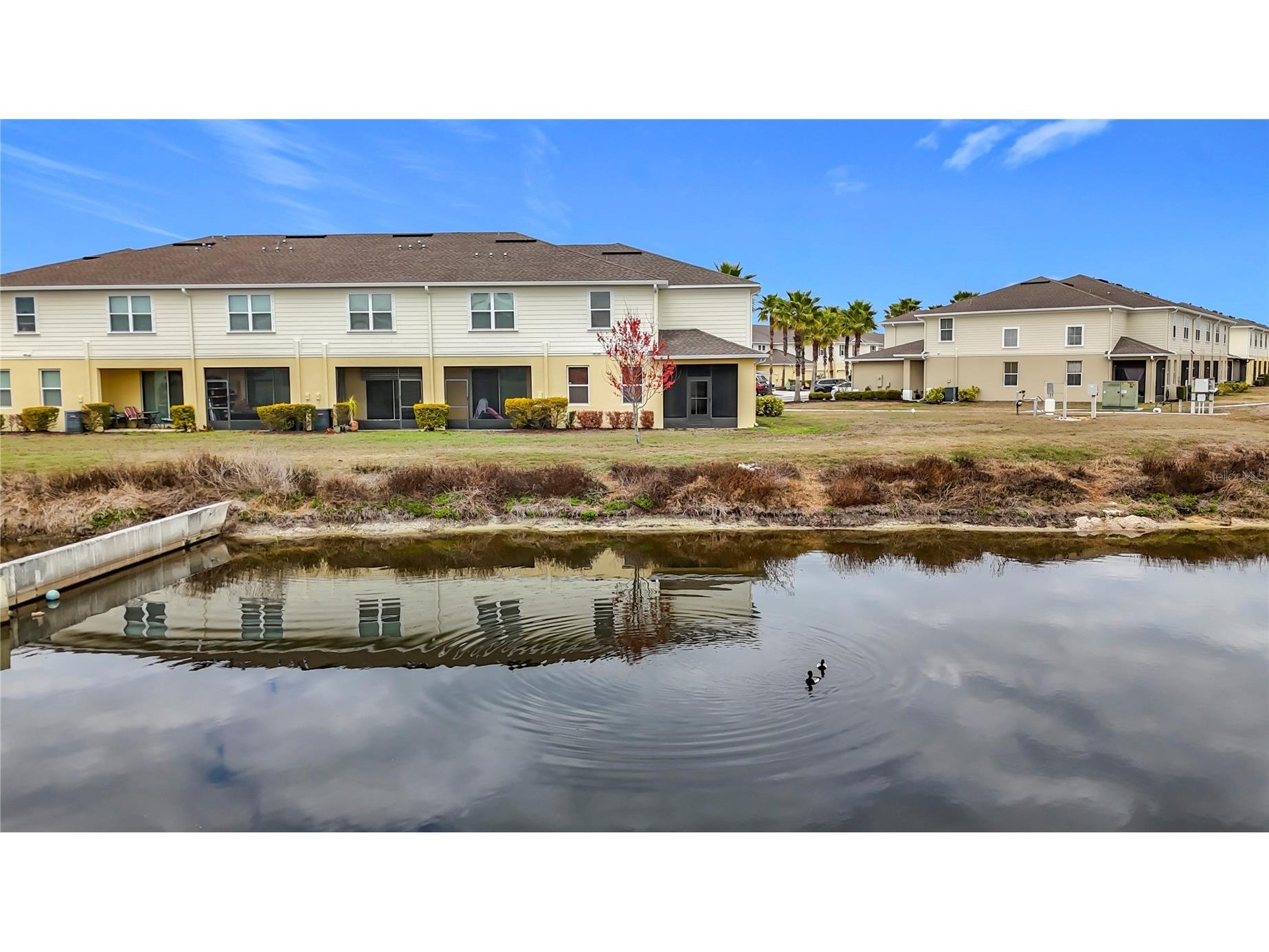 10927 Verawood Drive Riverview FL 33579 O6386908 image66