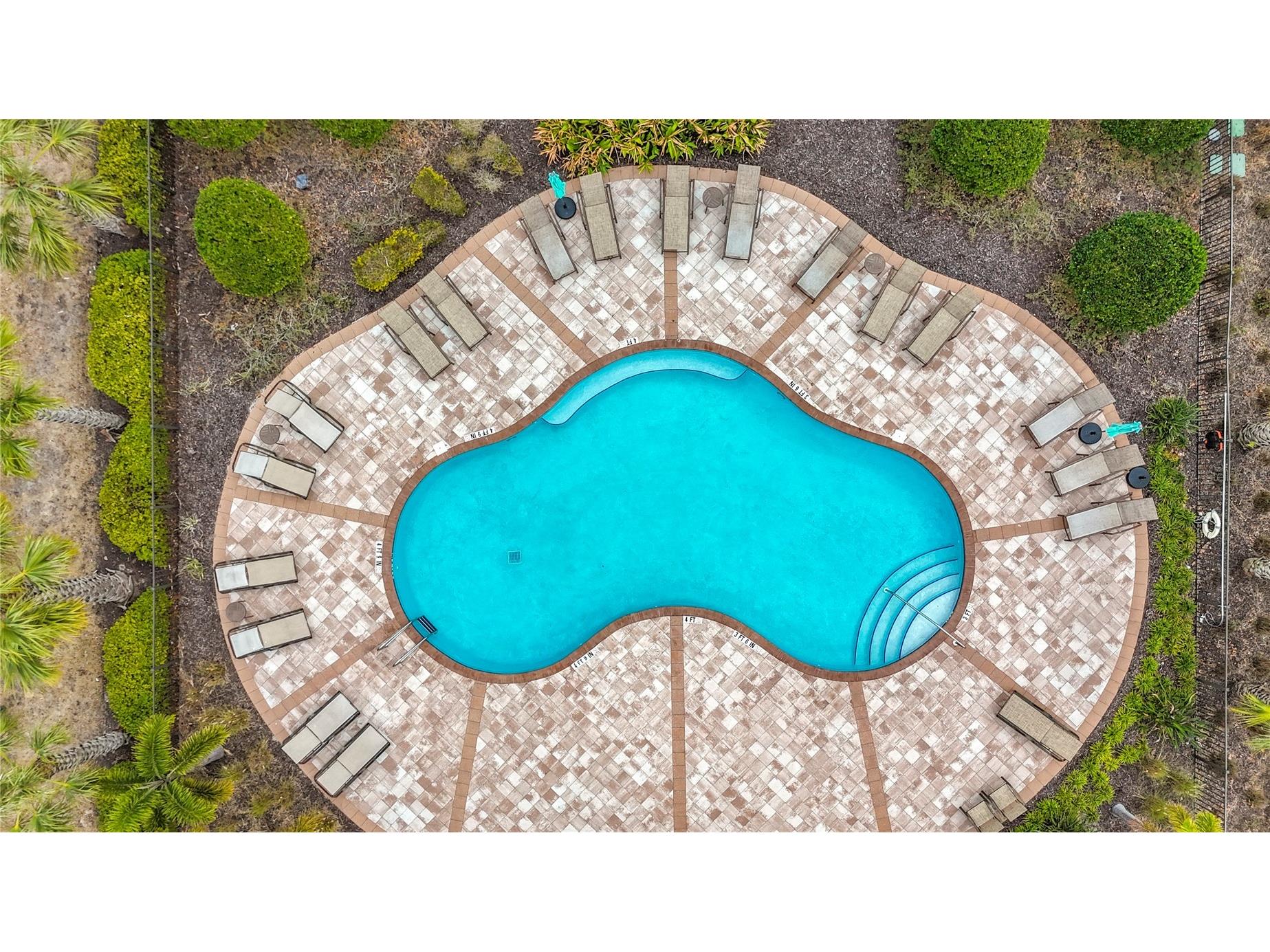 10927 Verawood Drive Riverview FL 33579 O6386908 image82