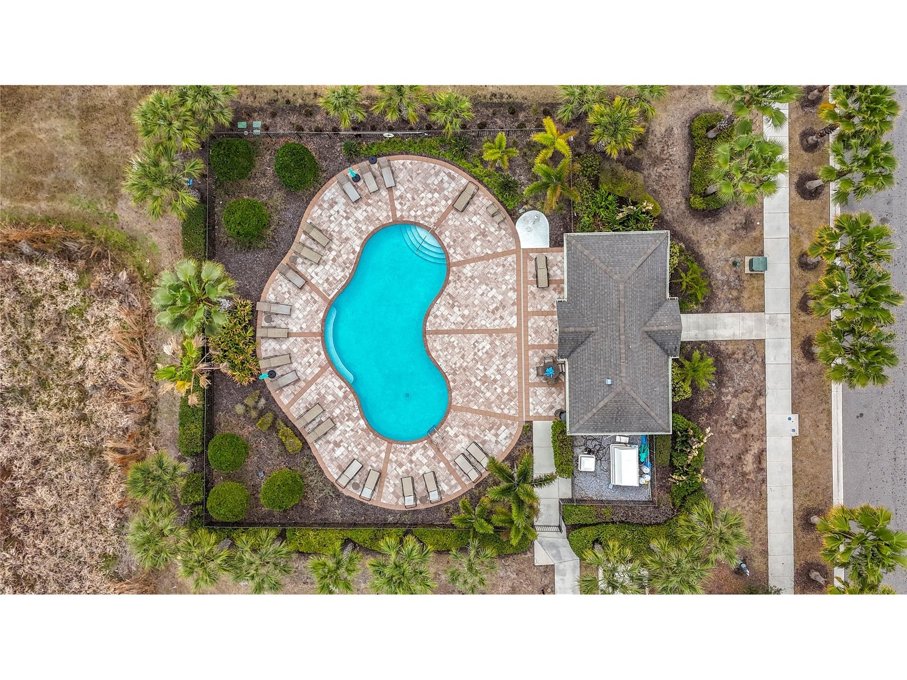 10927 Verawood Drive Riverview FL 33579 O6386908 image83