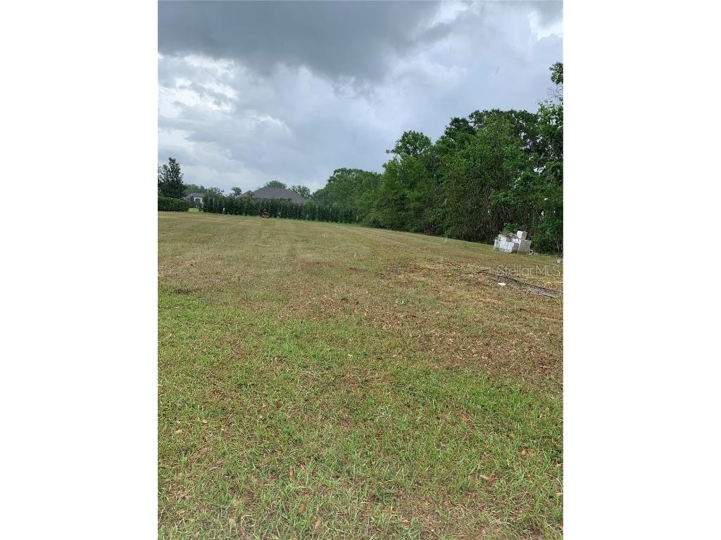 10928 Brooksnest Court Lithia FL 33547 A4564839 image1