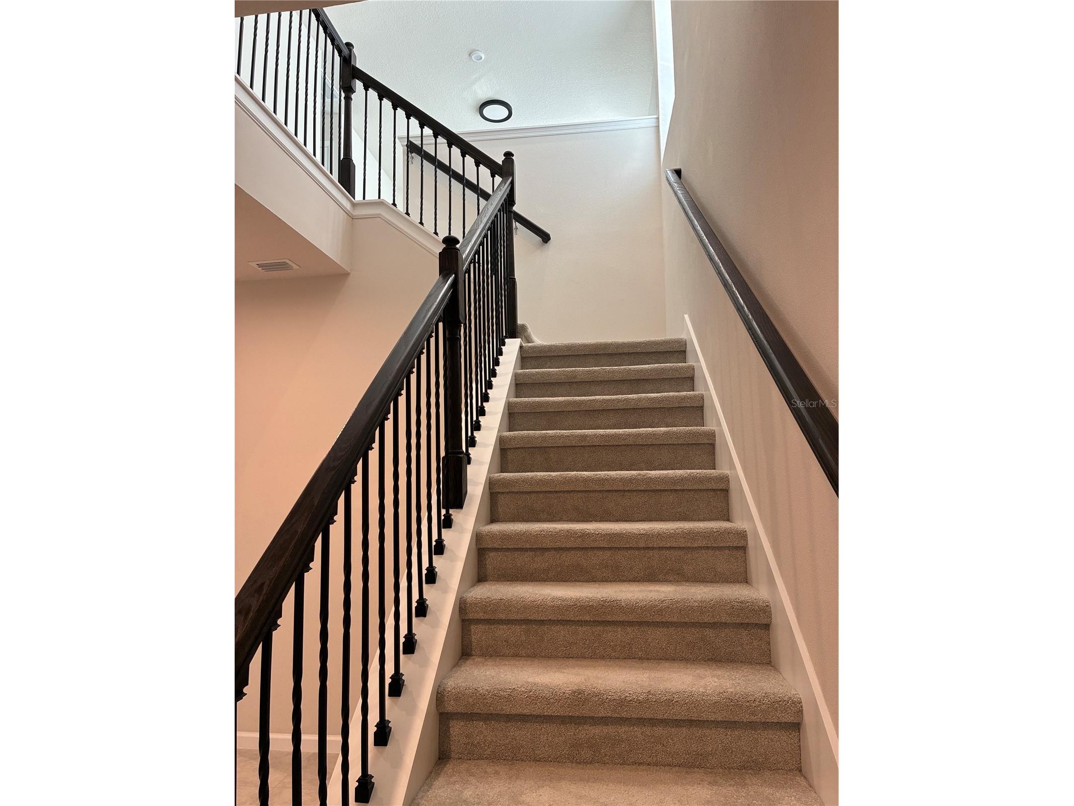 10928 Osprey Glade Terrace Land O Lakes FL 34638 TB8471884 image12