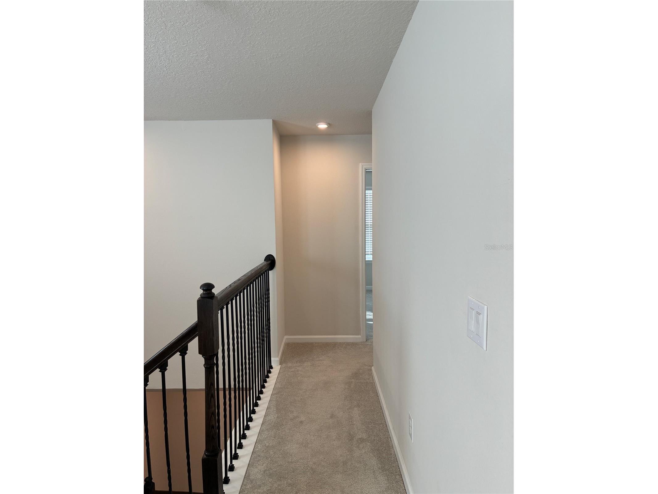 10928 Osprey Glade Terrace Land O Lakes FL 34638 TB8471884 image13