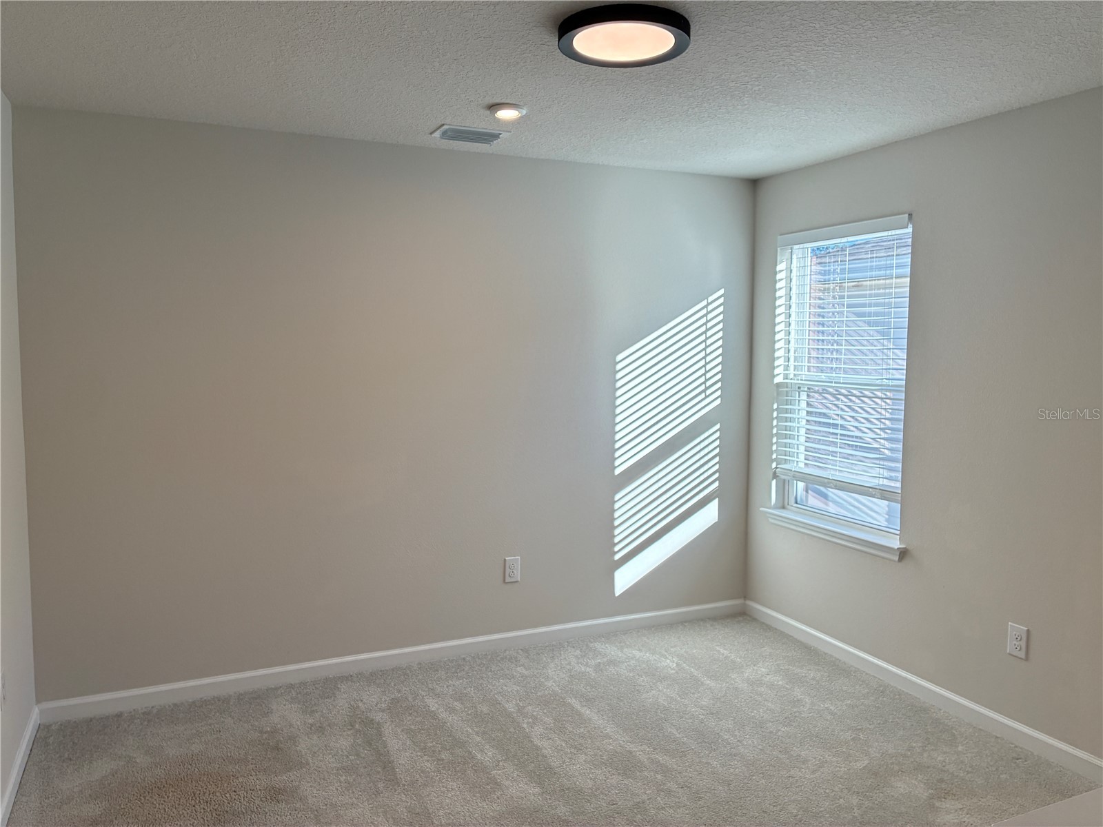 10928 Osprey Glade Terrace Land O Lakes FL 34638 TB8471884 image14