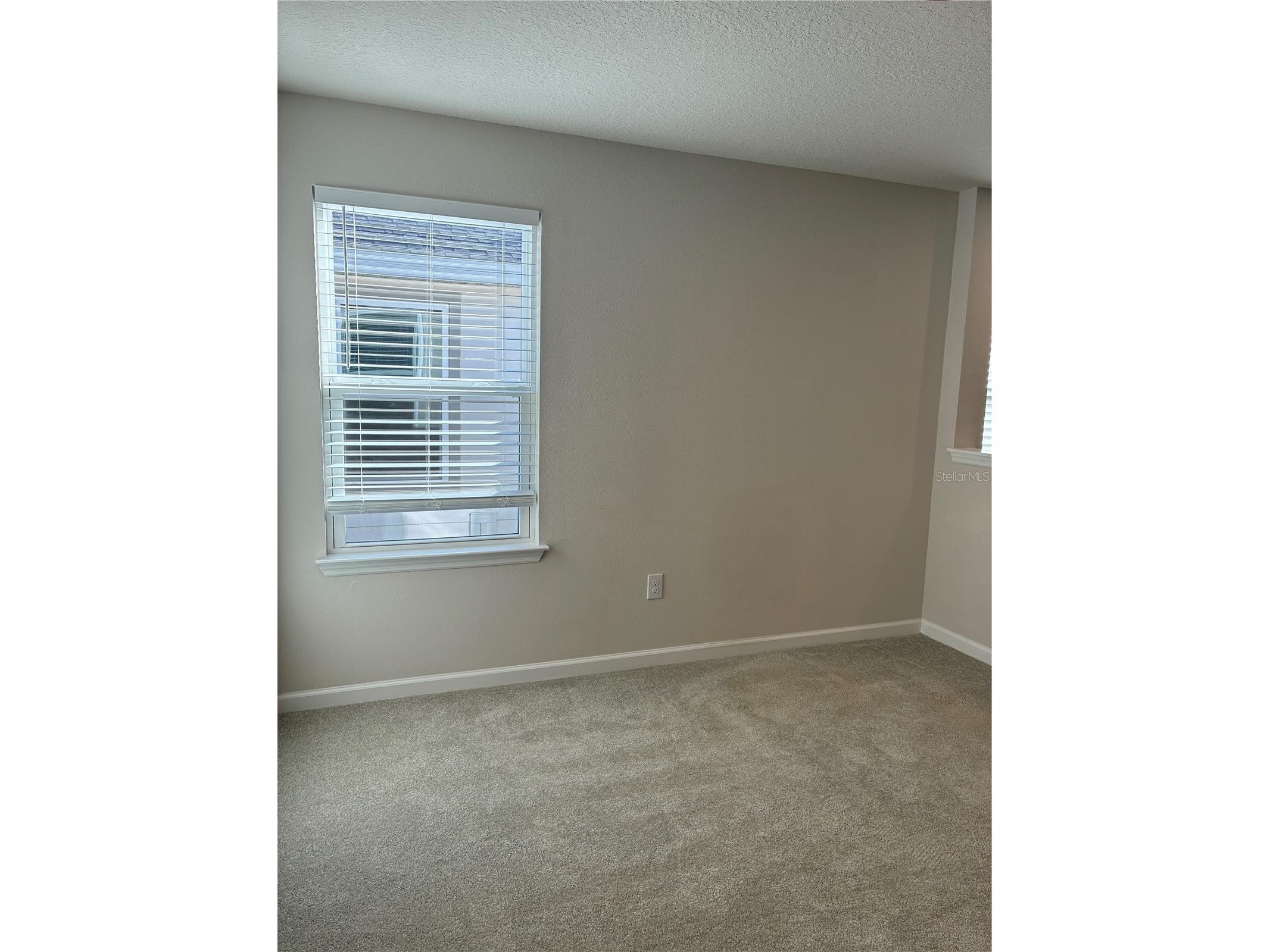 10928 Osprey Glade Terrace Land O Lakes FL 34638 TB8471884 image15