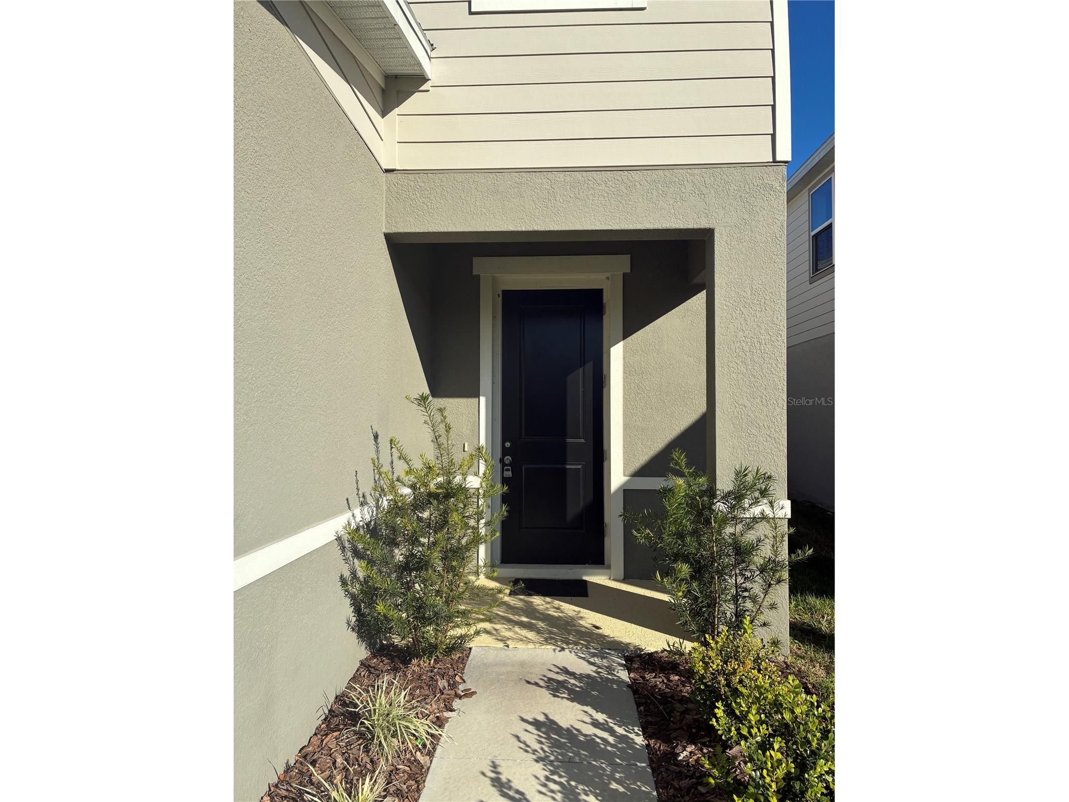 10928 Osprey Glade Terrace Land O Lakes FL 34638 TB8471884 image2