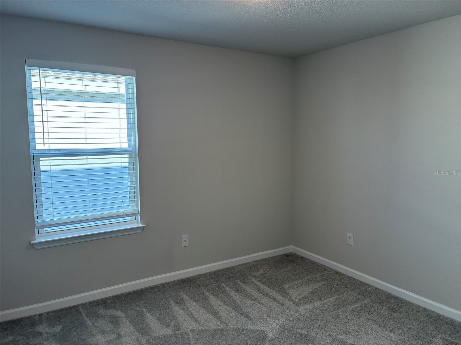 10928 Osprey Glade Terrace Land O Lakes FL 34638 TB8471884 image23