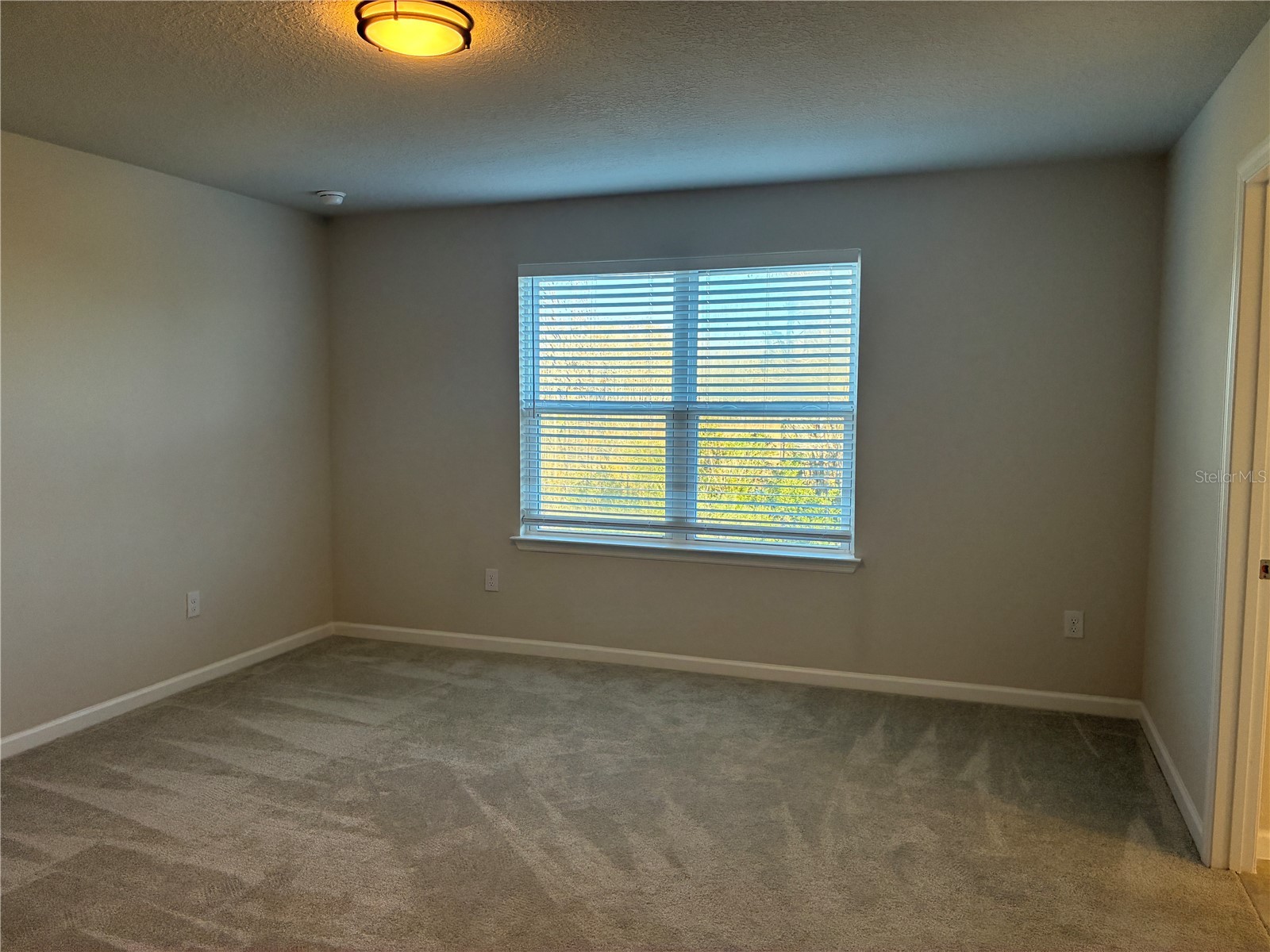 10928 Osprey Glade Terrace Land O Lakes FL 34638 TB8471884 image24