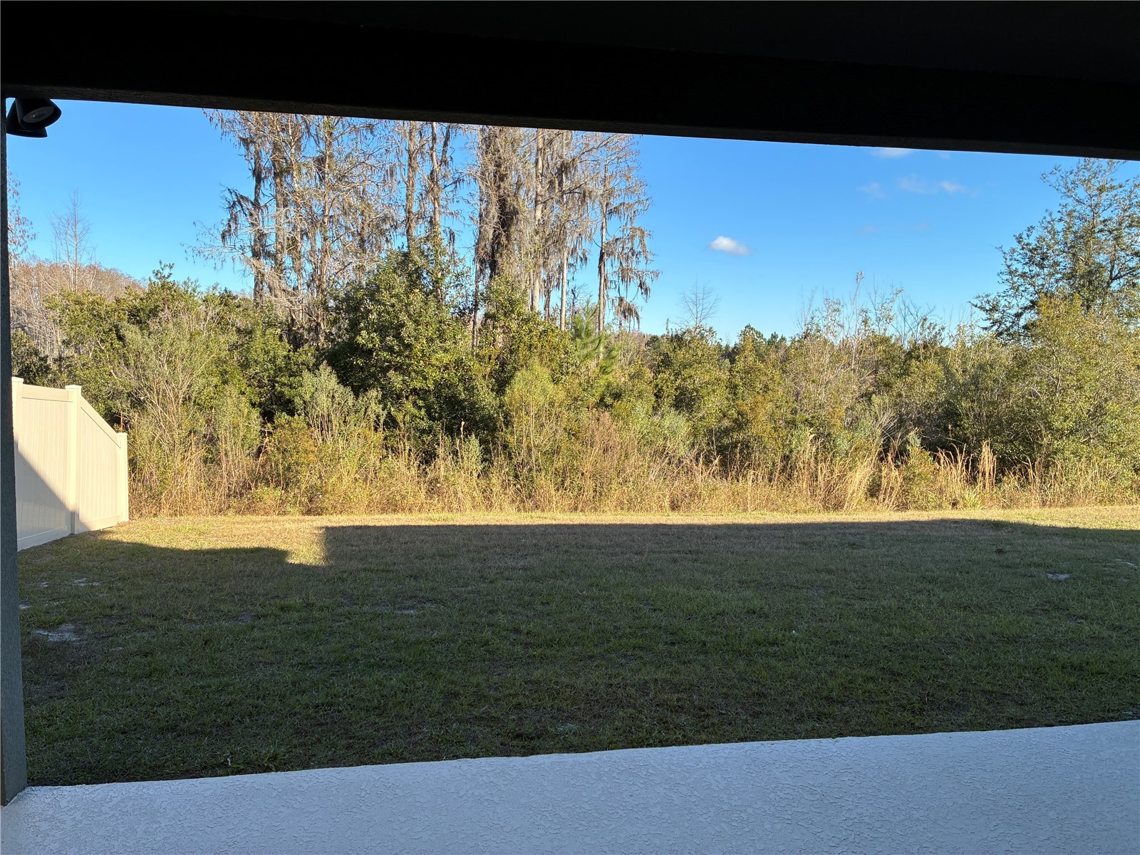 10928 Osprey Glade Terrace Land O Lakes FL 34638 TB8471884 image29