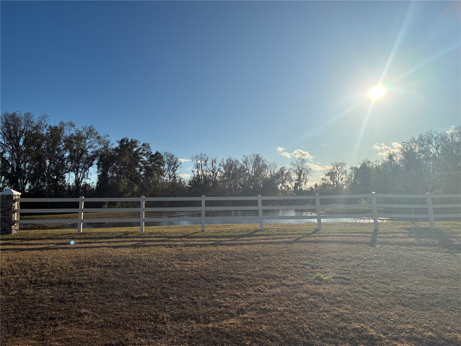 10928 Osprey Glade Terrace Land O Lakes FL 34638 TB8471884 image31