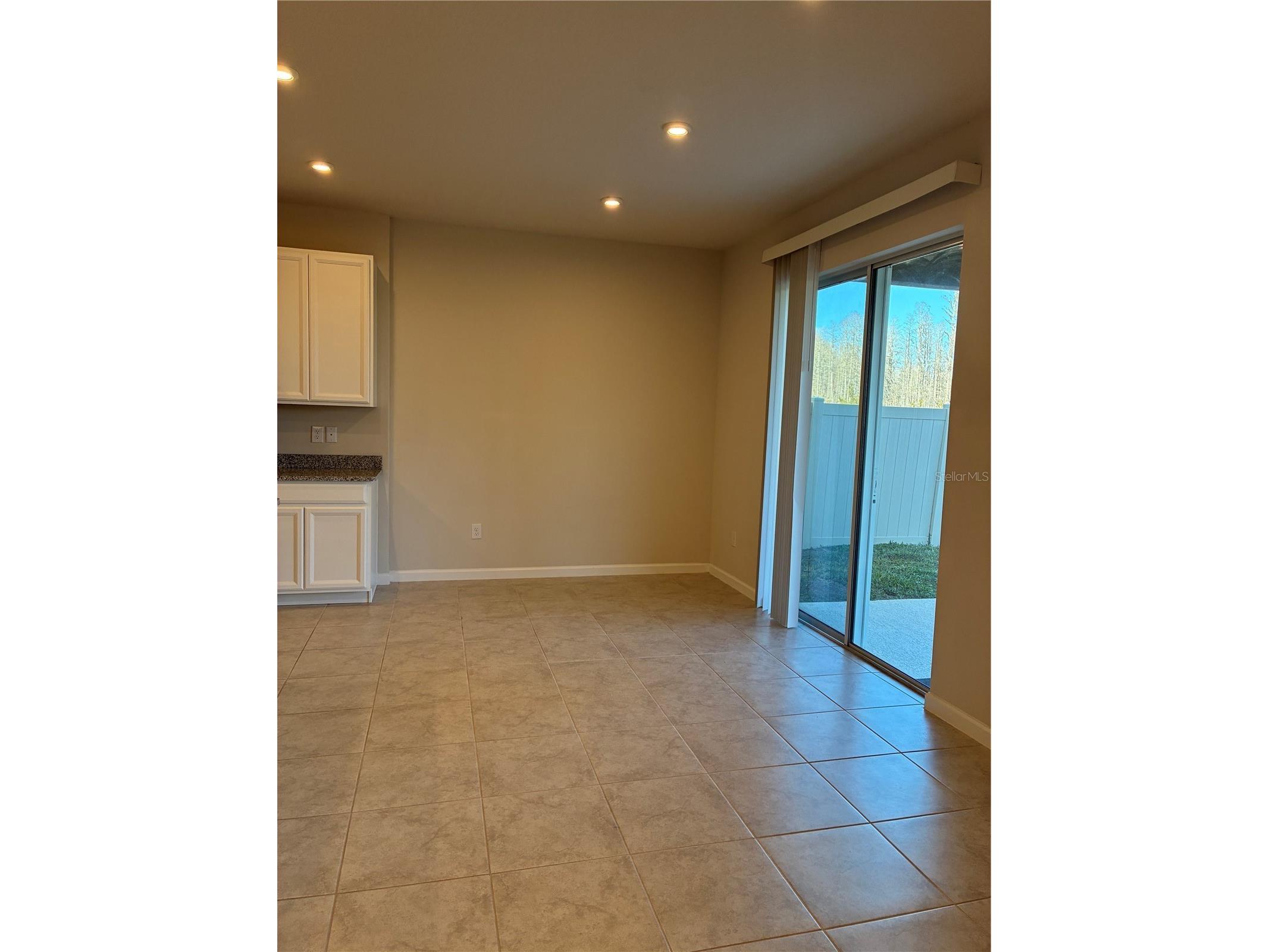 10928 Osprey Glade Terrace Land O Lakes FL 34638 TB8471884 image8