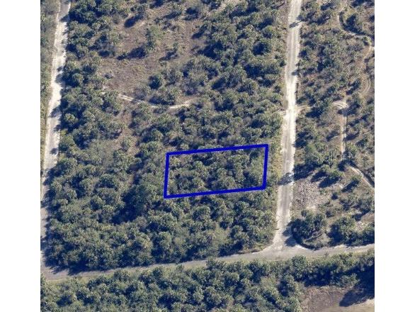 1093 Echinata Street SW Palm Bay FL 32908 NS1086646 image1