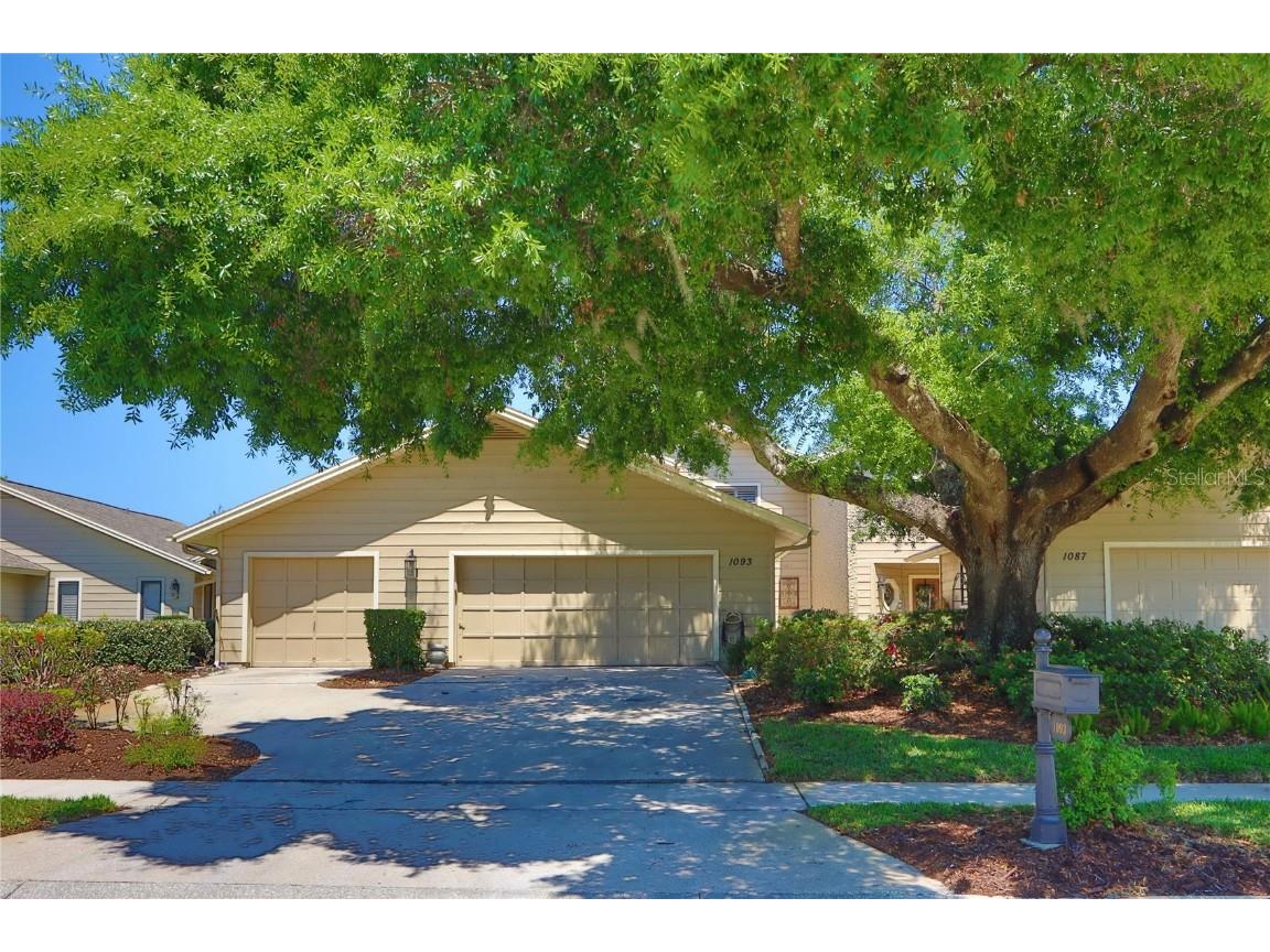 1093 Muirfield Court Tarpon Springs FL 34688 TB8364279 image4