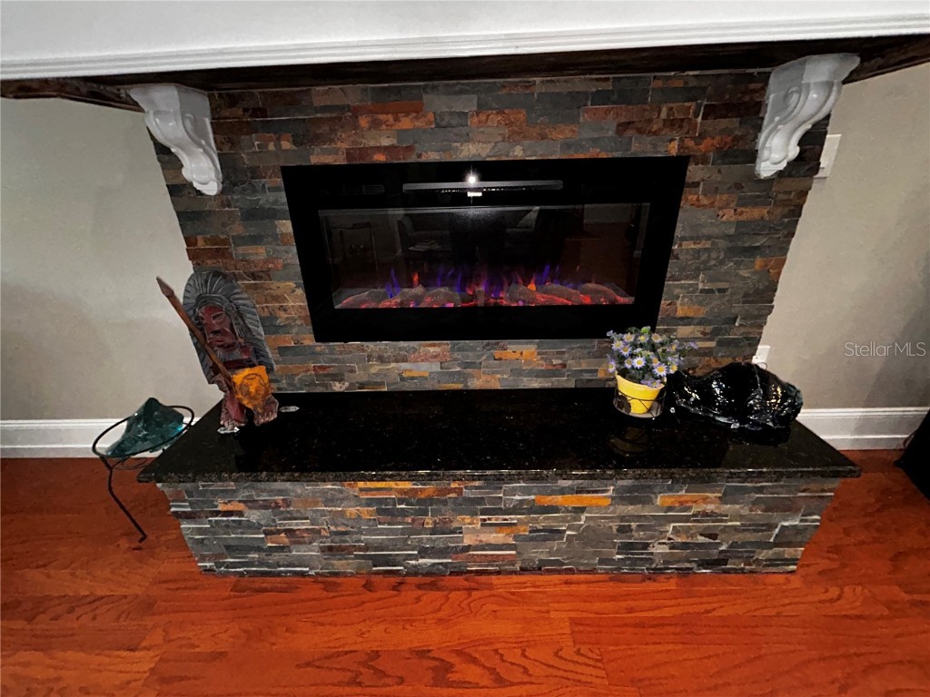 1093 Muirfield Court Tarpon Springs FL 34688 TB8364279 image55