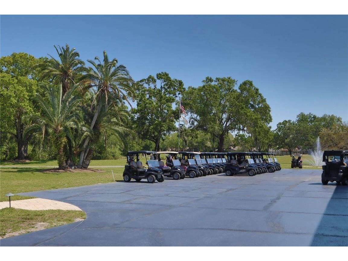 1093 Muirfield Court Tarpon Springs FL 34688 TB8364279 image64