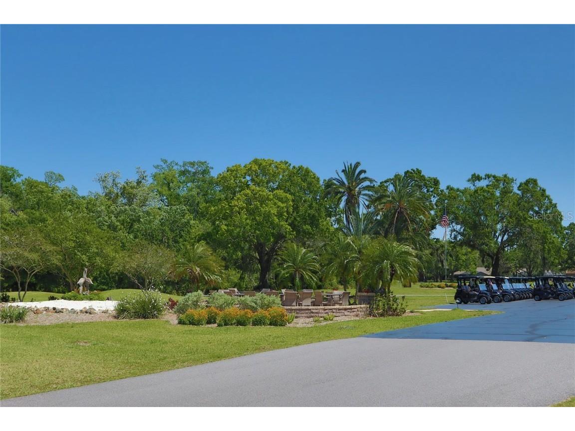 1093 Muirfield Court Tarpon Springs FL 34688 TB8364279 image65