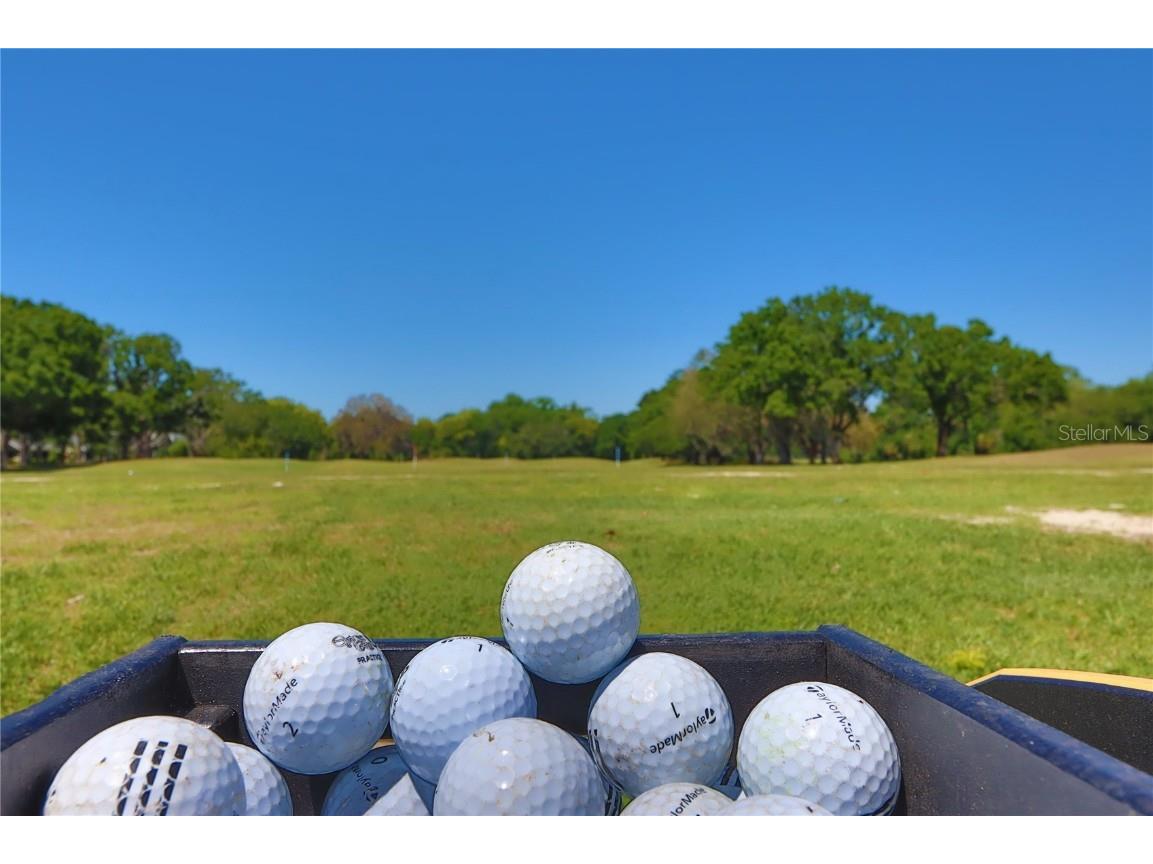 1093 Muirfield Court Tarpon Springs FL 34688 TB8364279 image66