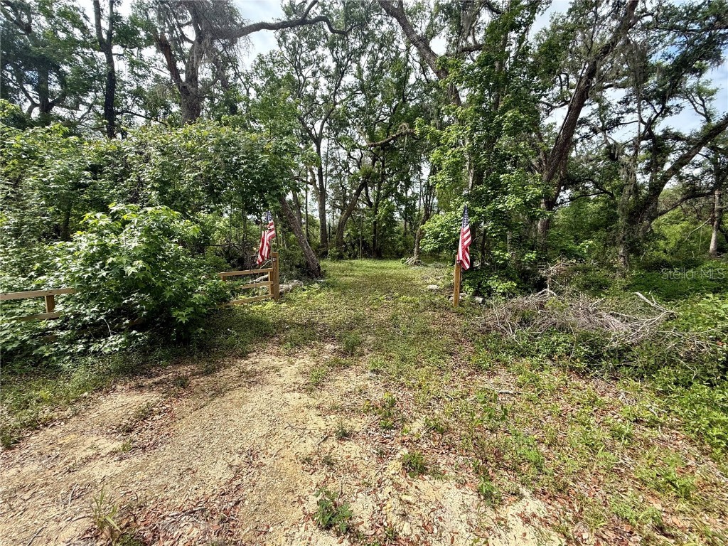 1093 NE 497th Street Old Town FL 32680 GC530781 image1