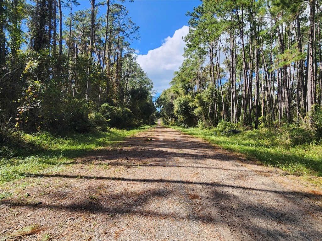 1093 Vercelli Lane Citrus Springs FL 34434 OM687963 image1