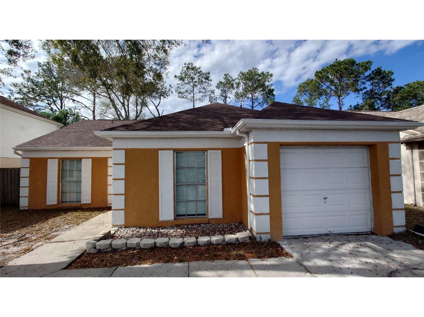 10930 Brightside Drive Tampa FL 33624 U8230581 image1