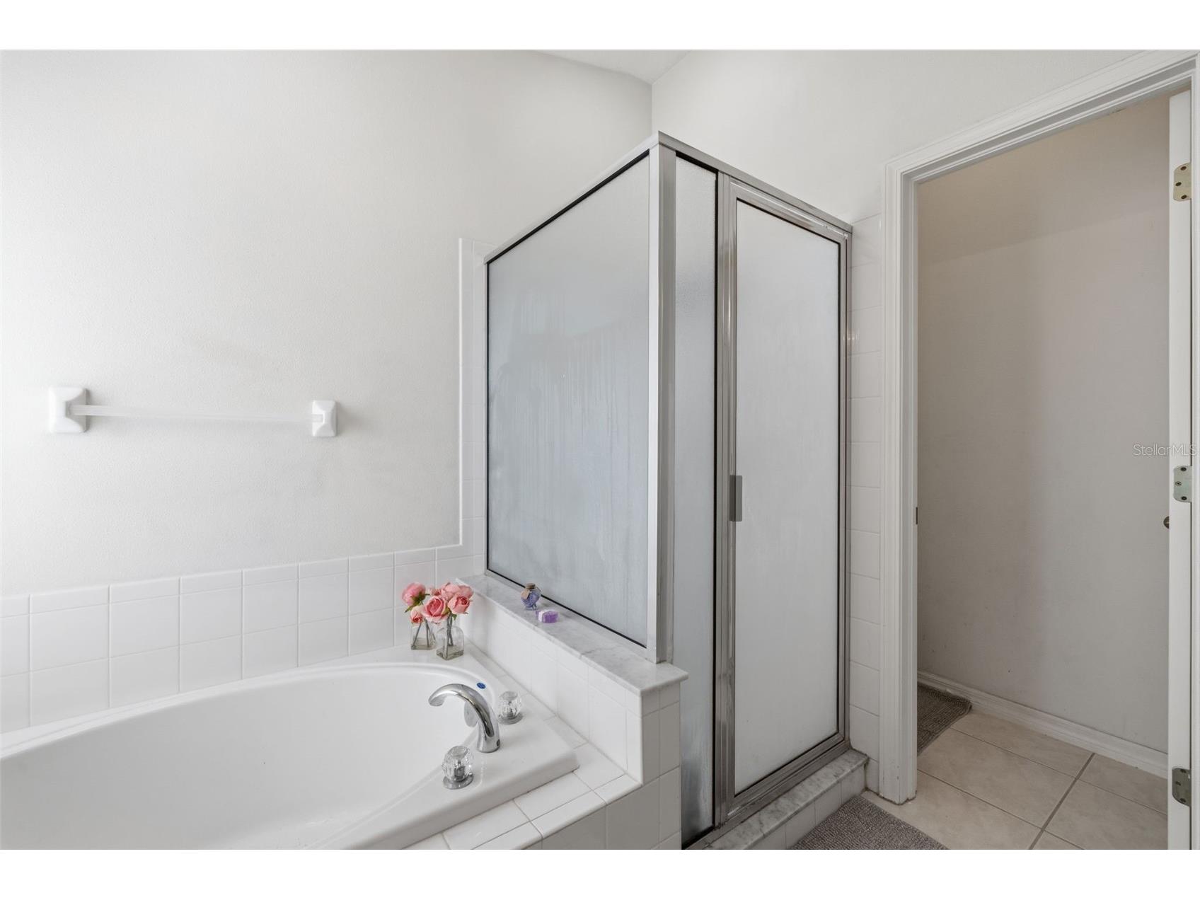 10930 May Apple Court Land O Lakes FL 34638 TB8491788 image16