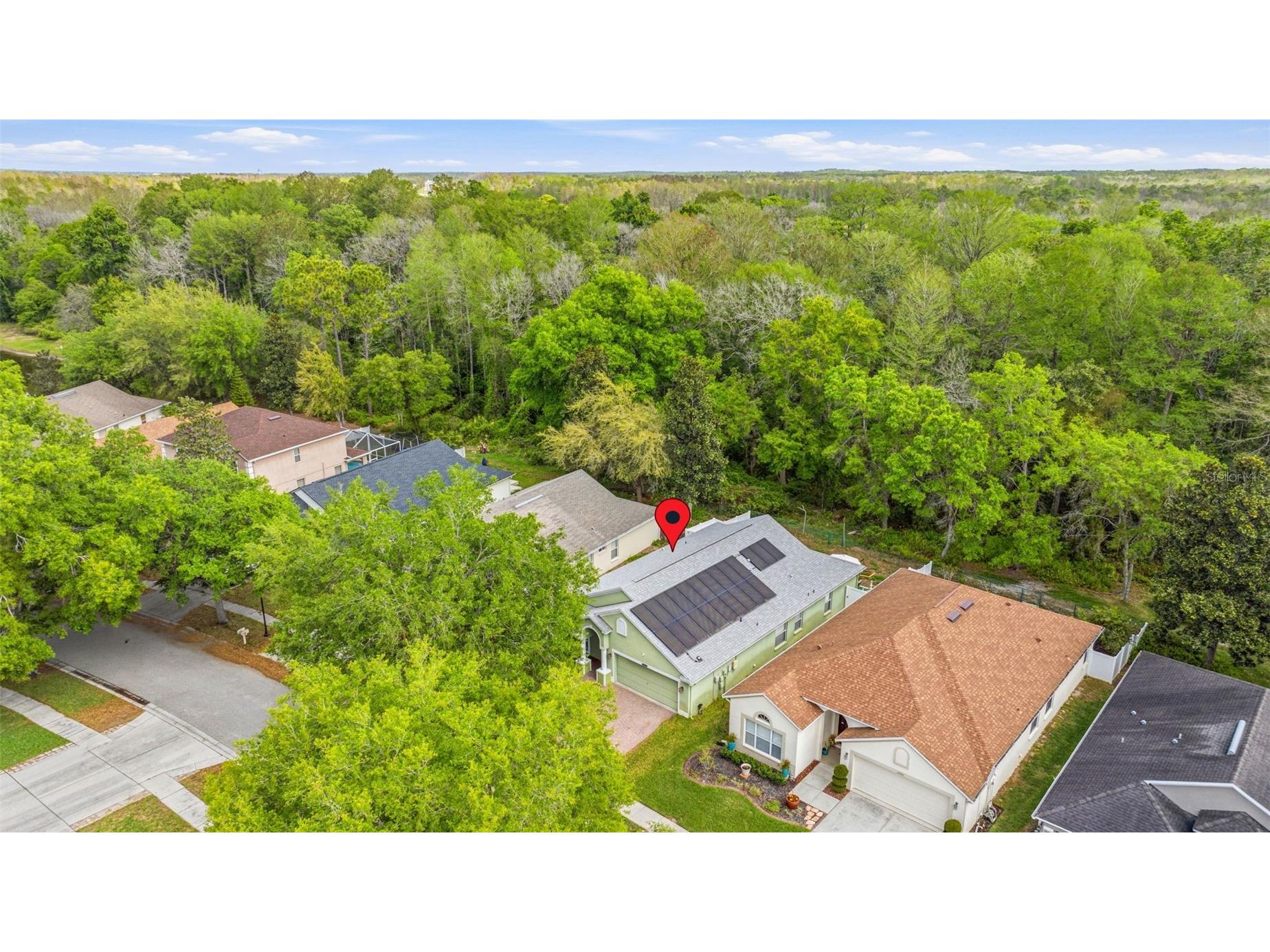 10930 May Apple Court Land O Lakes FL 34638 TB8491788 image28