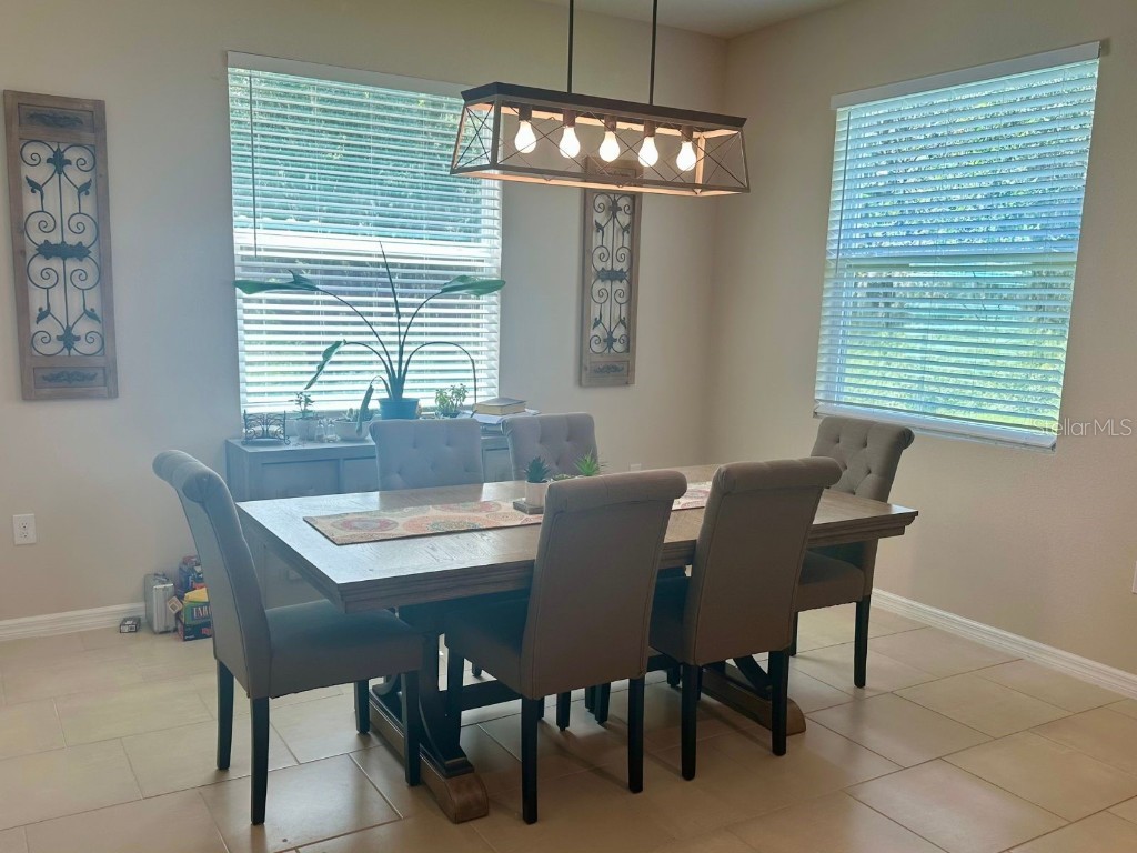 10931 Fallon Haze Cir San Antonio FL 33576 TB8453486 image10