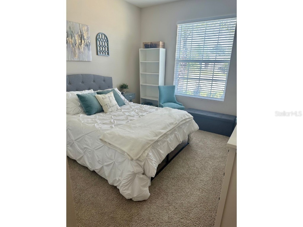 10931 Fallon Haze Cir San Antonio FL 33576 TB8453486 image11