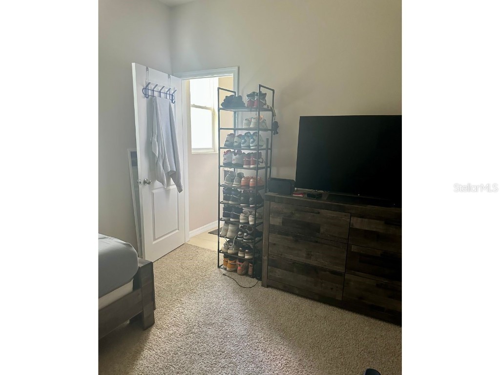 10931 Fallon Haze Cir San Antonio FL 33576 TB8453486 image12