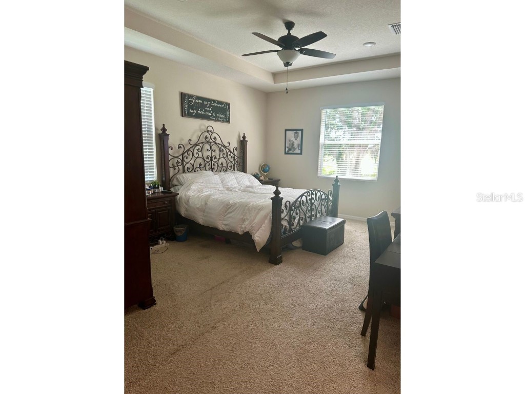 10931 Fallon Haze Cir San Antonio FL 33576 TB8453486 image14