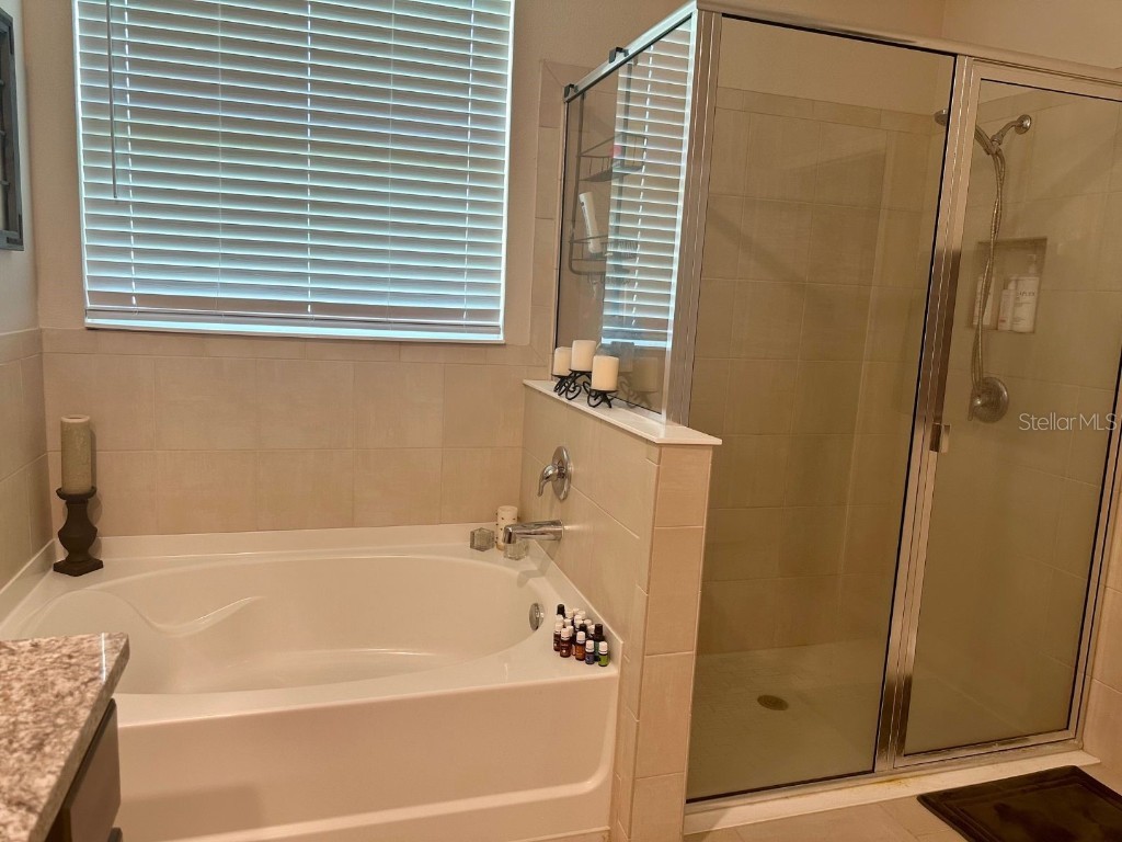 10931 Fallon Haze Cir San Antonio FL 33576 TB8453486 image16