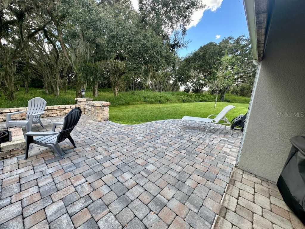 10931 Fallon Haze Cir San Antonio FL 33576 TB8453486 image21